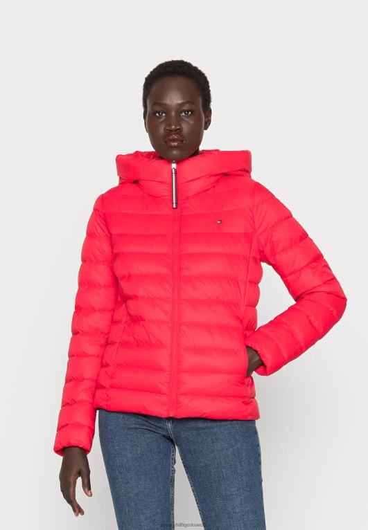 أحمر كورنيل Tommy Hilfiger سترة شتوية تحمل شعار سورونا 446445344