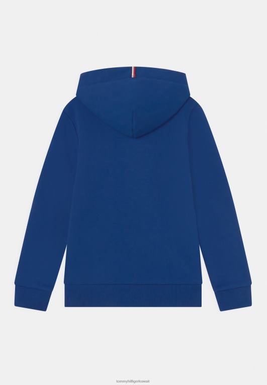 الأزرق الجريء Tommy Hilfiger هوديي مونوغرام للجنسين 446445420