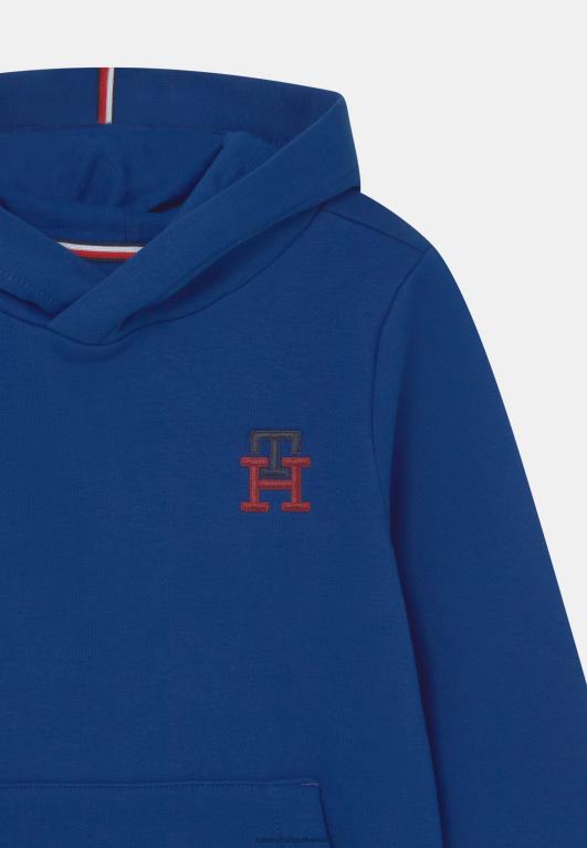 الأزرق الجريء Tommy Hilfiger هوديي مونوغرام للجنسين 446445420