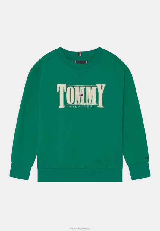 الملكيت الأخضر Tommy Hilfiger سترة زين 446445583