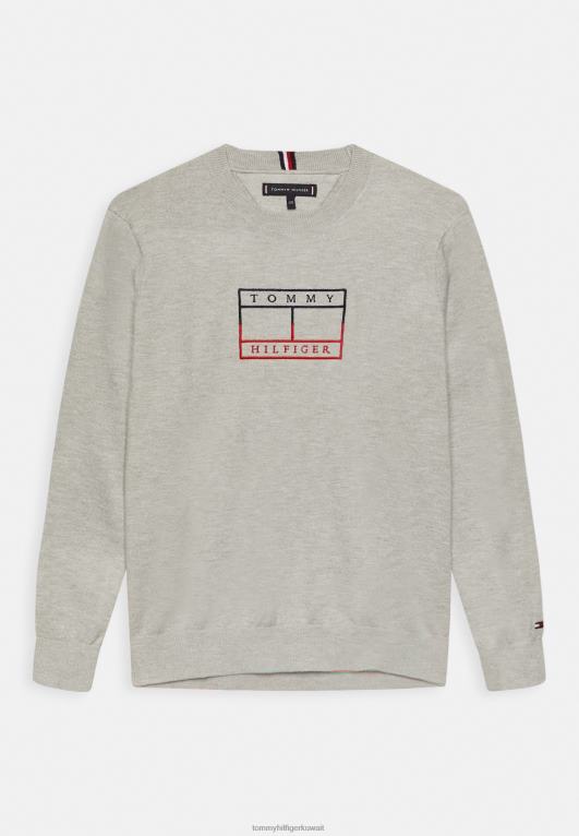 هيذر رمادي فاتح Tommy Hilfiger سترة العلم المطرزة 446445763