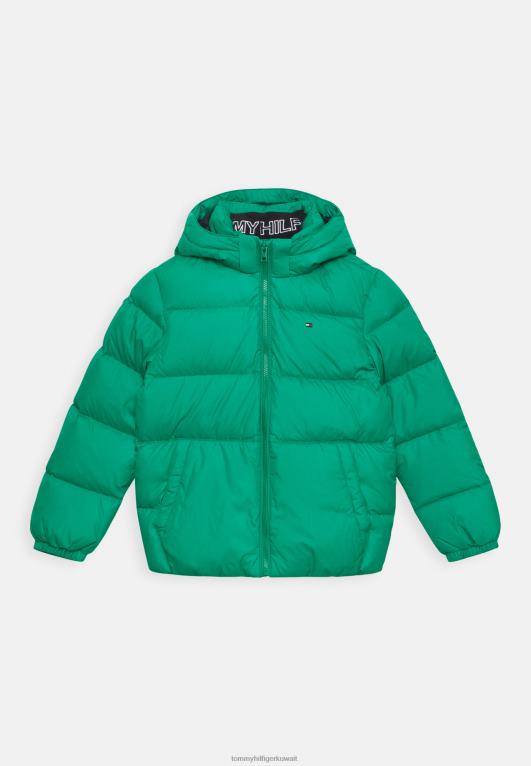 الملكيت الأخضر Tommy Hilfiger سترة الشتاء الأساسية 446445939