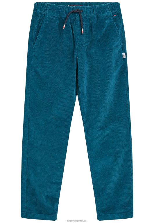 بنزين Tommy Hilfiger سحب على السراويل السراويل 446446001