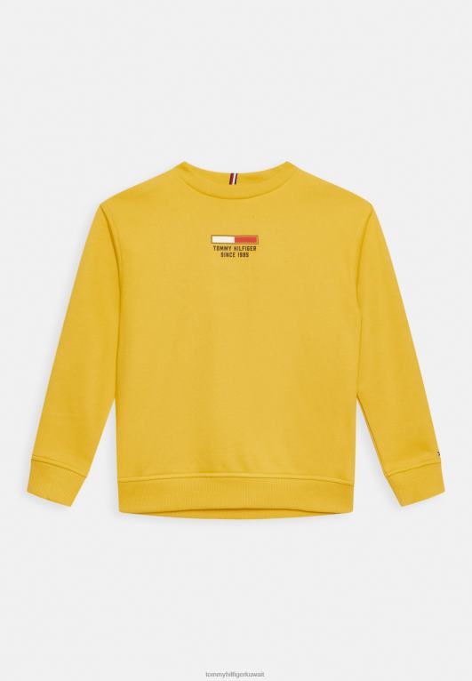توسكان الأصفر Tommy Hilfiger سترة شعار العلم 446446078