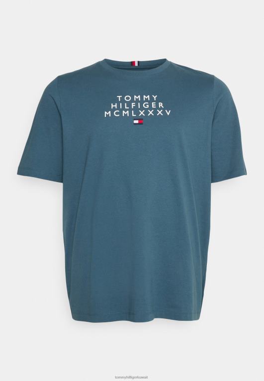 الفحم الأزرق Tommy Hilfiger تي شيرت بطبعة جرافيك صغيرة في المنتصف 446446245