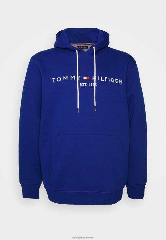 الأزرق الجريء Tommy Hilfiger شعار هوديي البلوز 446446280