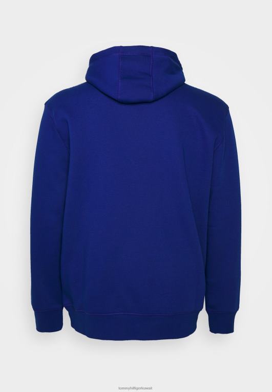 الأزرق الجريء Tommy Hilfiger شعار هوديي البلوز 446446280