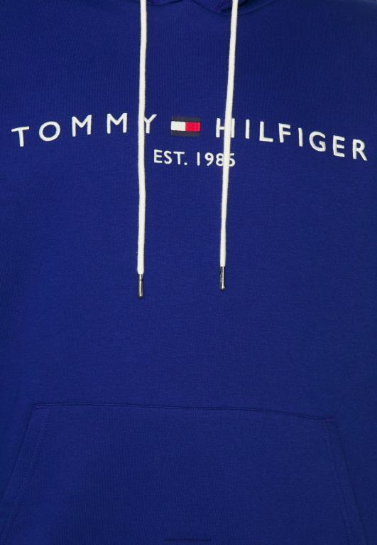 الأزرق الجريء Tommy Hilfiger شعار هوديي البلوز 446446280