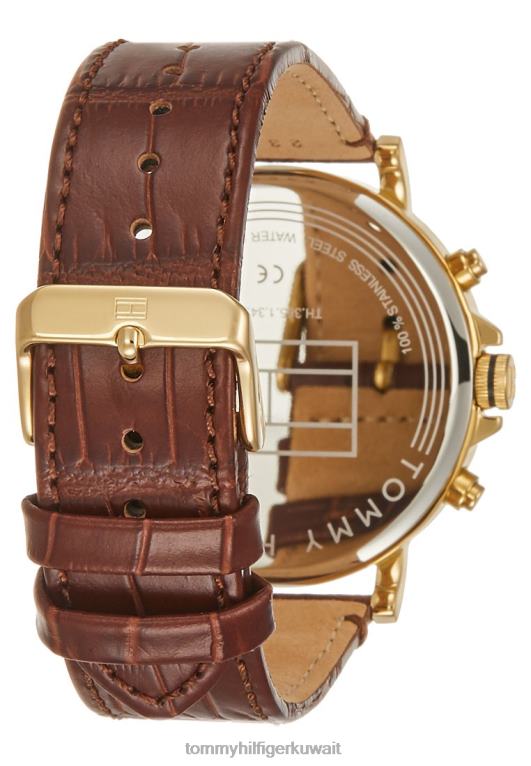 براون Tommy Hilfiger ساعة دانيال 446446395