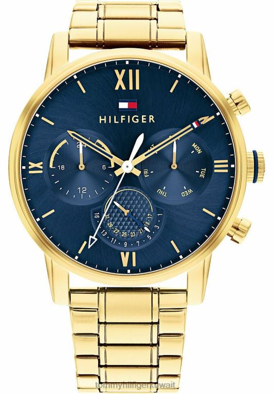 ذهب Tommy Hilfiger ساعة كرونوغراف 446446527