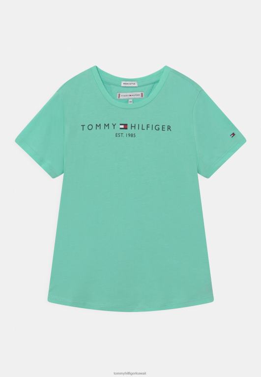 بحيرة واضحة Tommy Hilfiger تي شيرت بطبعة تي شيرت أساسية 446447213