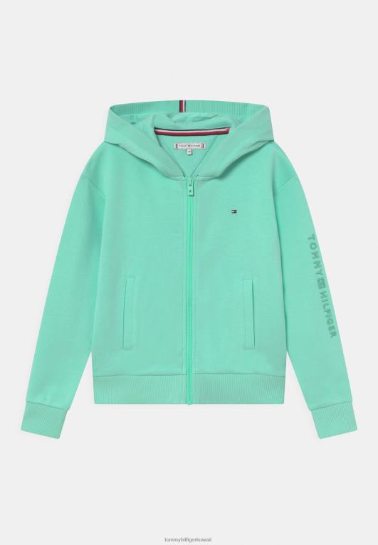 بحيرة واضحة Tommy Hilfiger أساسيات واعية بسحاب من خلال سويت شيرت بسحاب 446447404