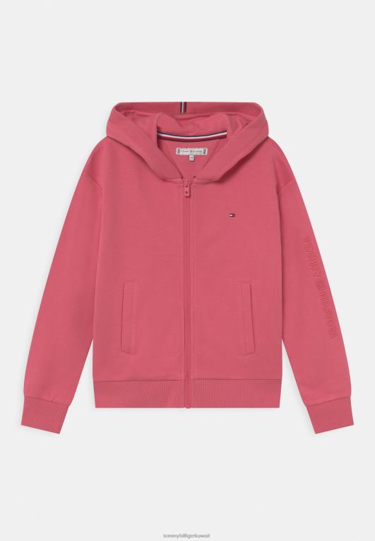 البطيخ العميق Tommy Hilfiger أساسيات واعية بسحاب من خلال سويت شيرت بسحاب 446447420