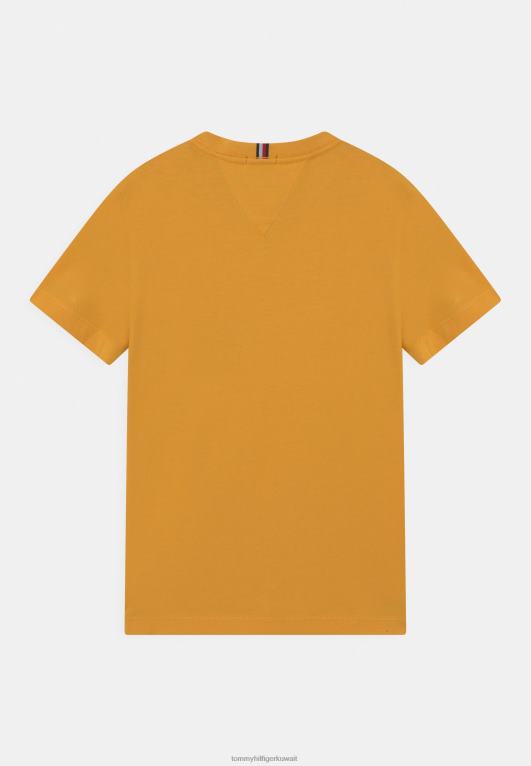 البراري الأصفر Tommy Hilfiger تي شيرت أساسي أساسي 446447515