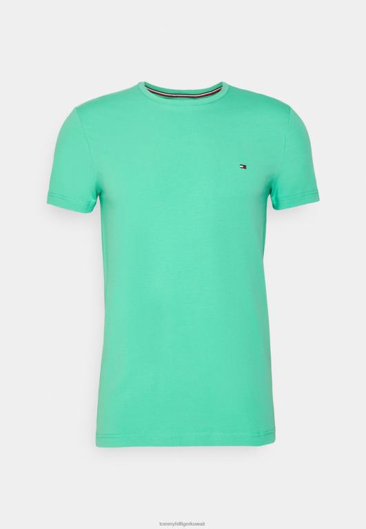 الوها الخضراء Tommy Hilfiger تي شيرت أساسي 446447531