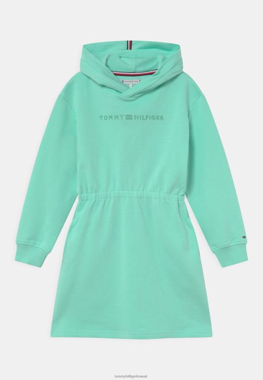 بحيرة واضحة Tommy Hilfiger واعية اللباس الأساسي اليوم 446447625