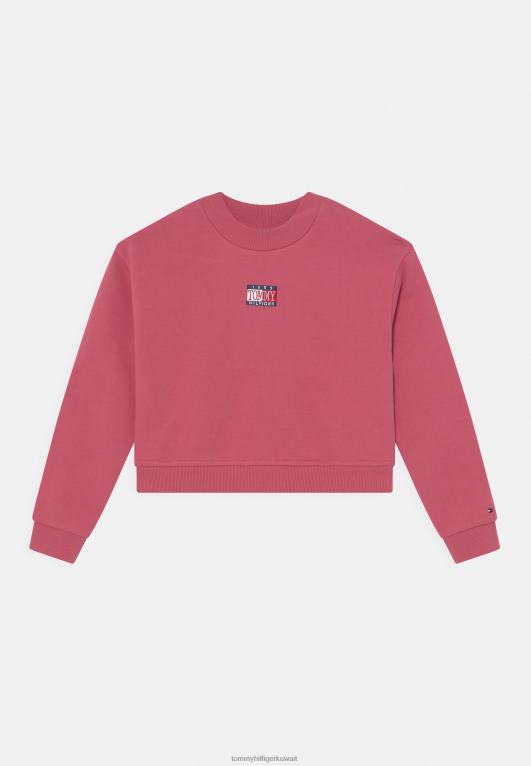 البطيخ العميق Tommy Hilfiger البلوز الخالدة 446447711