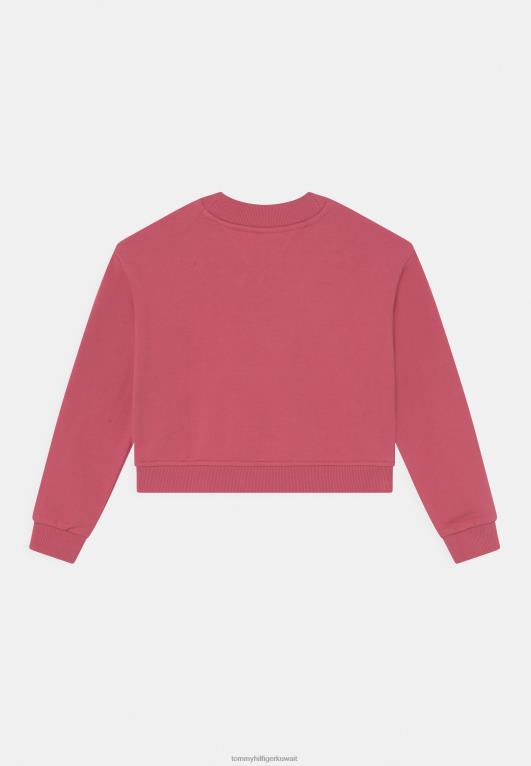 البطيخ العميق Tommy Hilfiger البلوز الخالدة 446447711