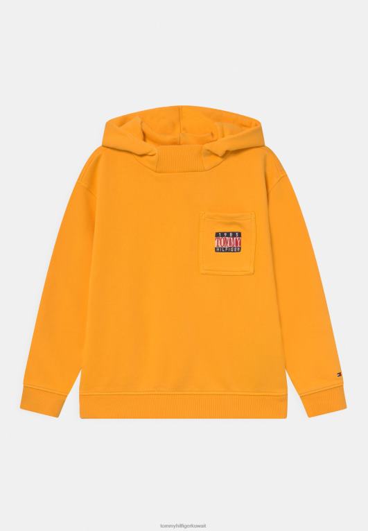 البراري الأصفر Tommy Hilfiger هوديي هوديي الخالدة 446447712