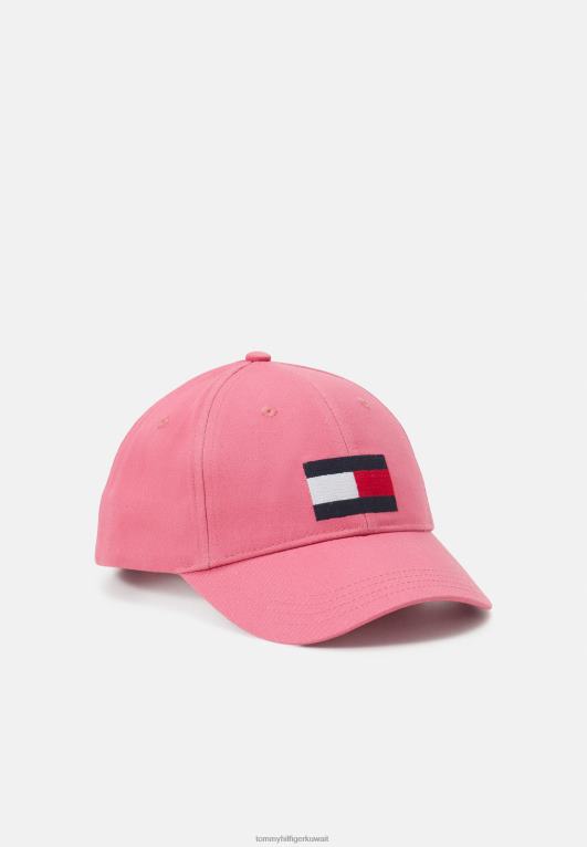 البطيخ العميق Tommy Hilfiger قبعة للجنسين بعلم كبير 446447875