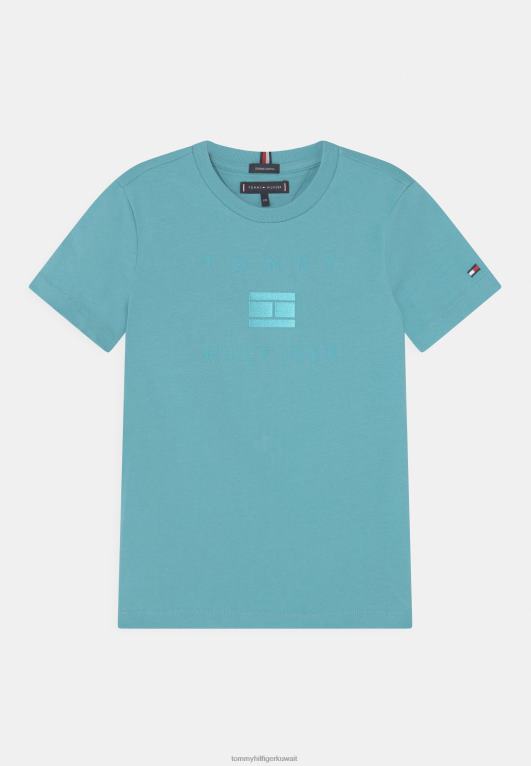 قمة Tommy Hilfiger تي شيرت مطبوع عليه شعار العمل الفني 446447906