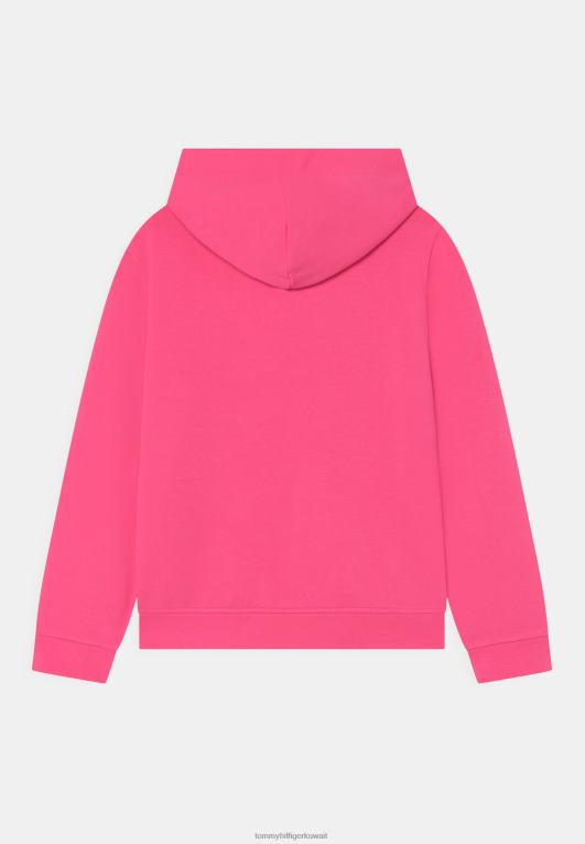 التنبيه الوردي Tommy Hilfiger مدينة نيويورك هوديي البلوز 446448035