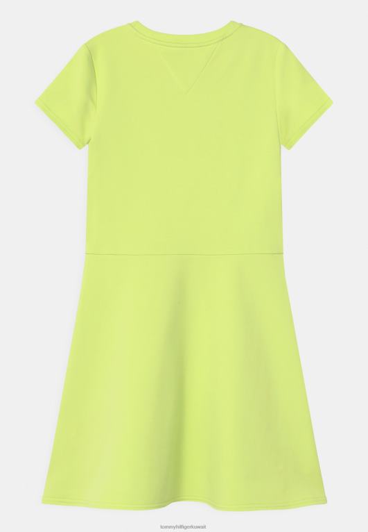 الجير الباهت Tommy Hilfiger فستان يوم المتزلج الأساسي 446448180