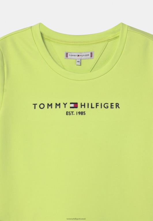 الجير الباهت Tommy Hilfiger فستان يوم المتزلج الأساسي 446448180