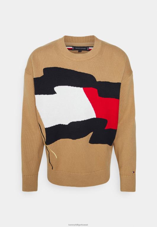 سلة بني Tommy Hilfiger سترة سترة العلم متموجة 446448221