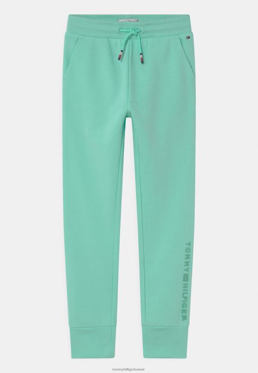 بحيرة واضحة Tommy Hilfiger أساسيات واعية قيعان رياضية 446448450