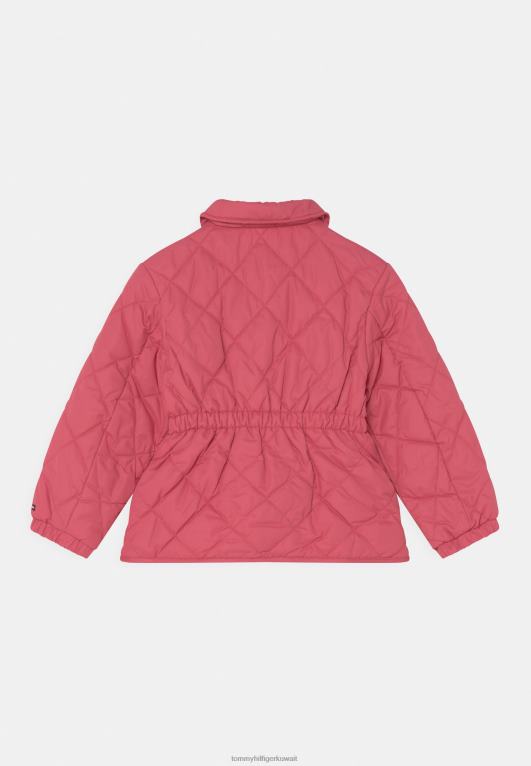 البطيخ العميق Tommy Hilfiger سترة خفيفة مبطنة 446448610