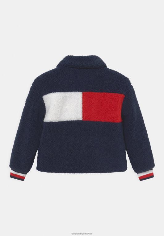 البحرية الشفق Tommy Hilfiger سترة شتوية قطعة العلم 446448822
