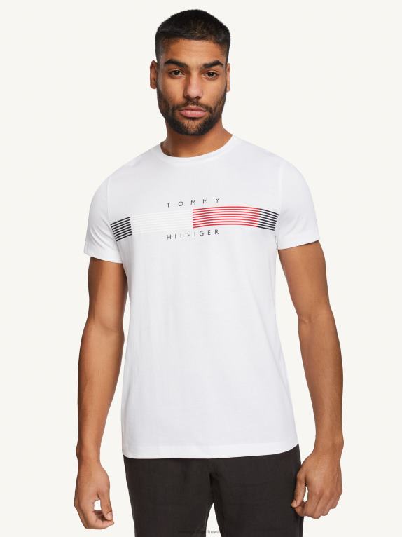 أبيض Tommy Hilfiger تي شيرت برسومات مخططة على الصدر 44644940