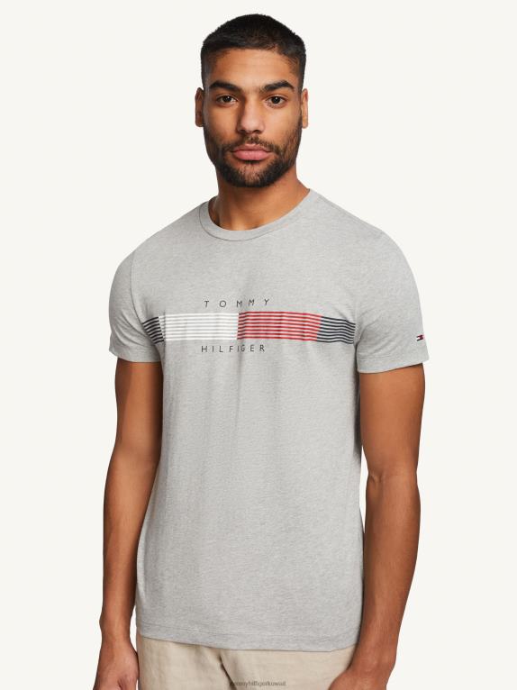 هيذر رمادي فاتح Tommy Hilfiger تي شيرت برسومات مخططة على الصدر 44644941