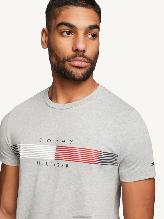 هيذر رمادي فاتح Tommy Hilfiger تي شيرت برسومات مخططة على الصدر 44644941