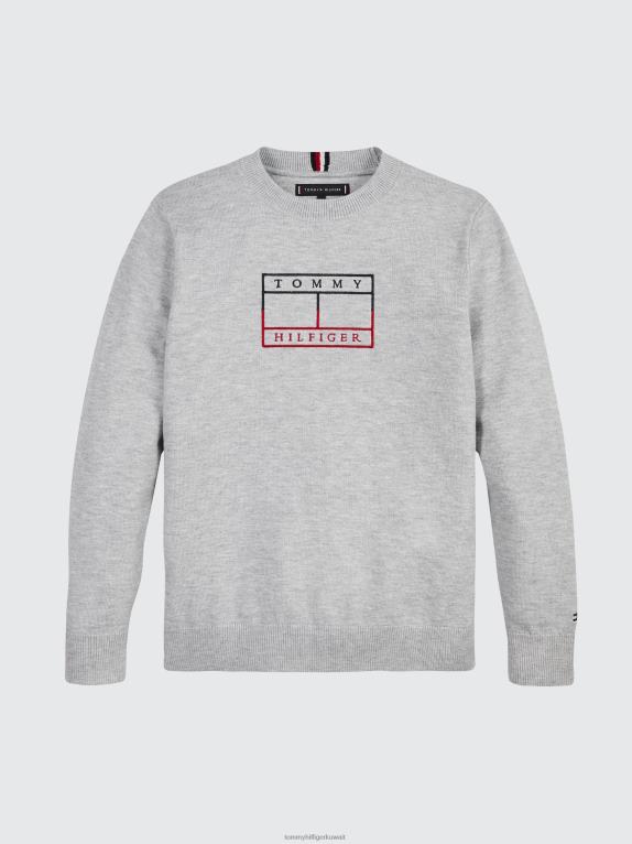 هيذر رمادي فاتح Tommy Hilfiger الأولاد 8-16 البلوز التطريز العلم 44644231