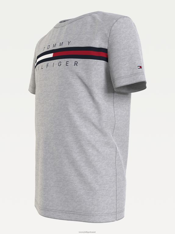 هيذر رمادي فاتح Tommy Hilfiger تي شيرت للأولاد من عمر 8 إلى 16 عامًا من القطن العضوي بلوحة العلم 44644341