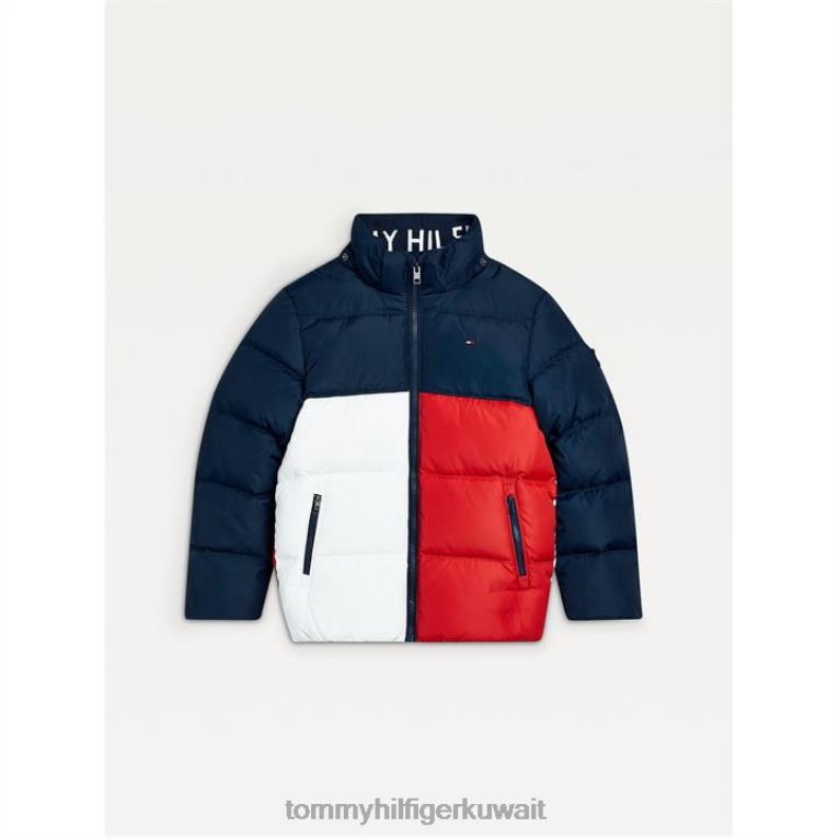 colorblock Tommy Hilfiger سترة أسفل الأساسية 4464419978